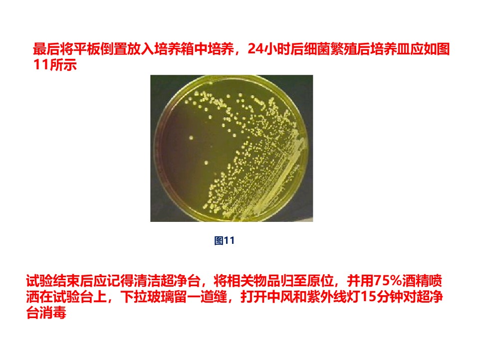 幻灯片9.JPG