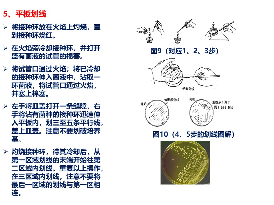 幻灯片8.JPG
